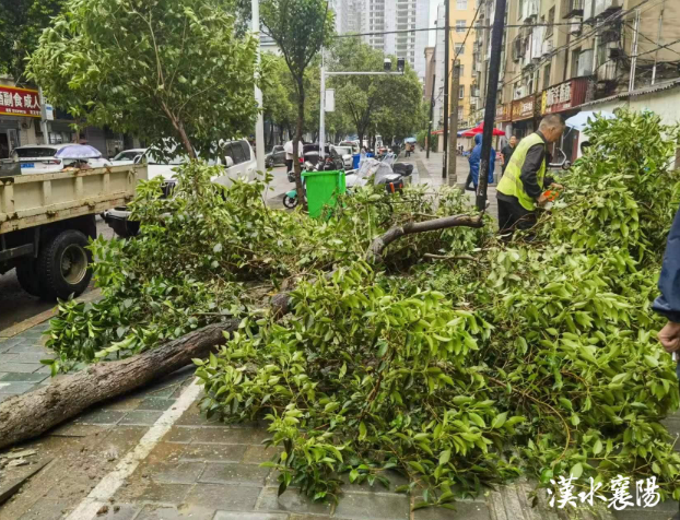 1693294833132093.png 3.png